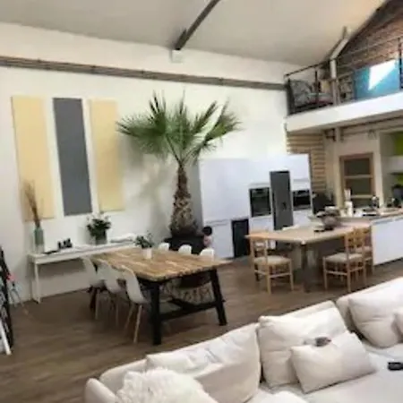 Loft Au Coeur De Avec Parking Securise Apartment